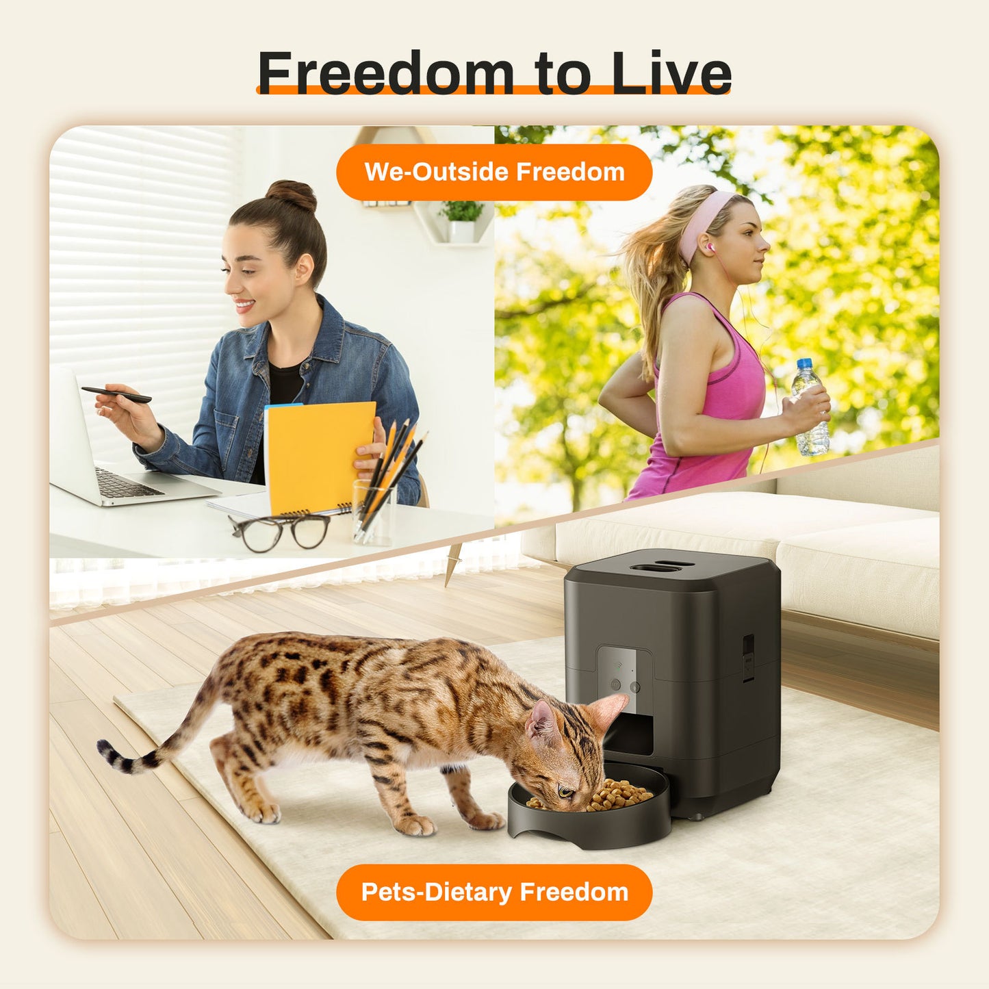 Automatic Pet Feeder Intelligent Timing
